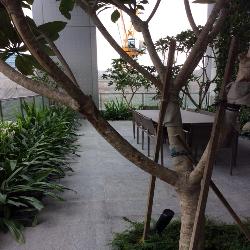 The Boutiq (D9), Apartment #38591302